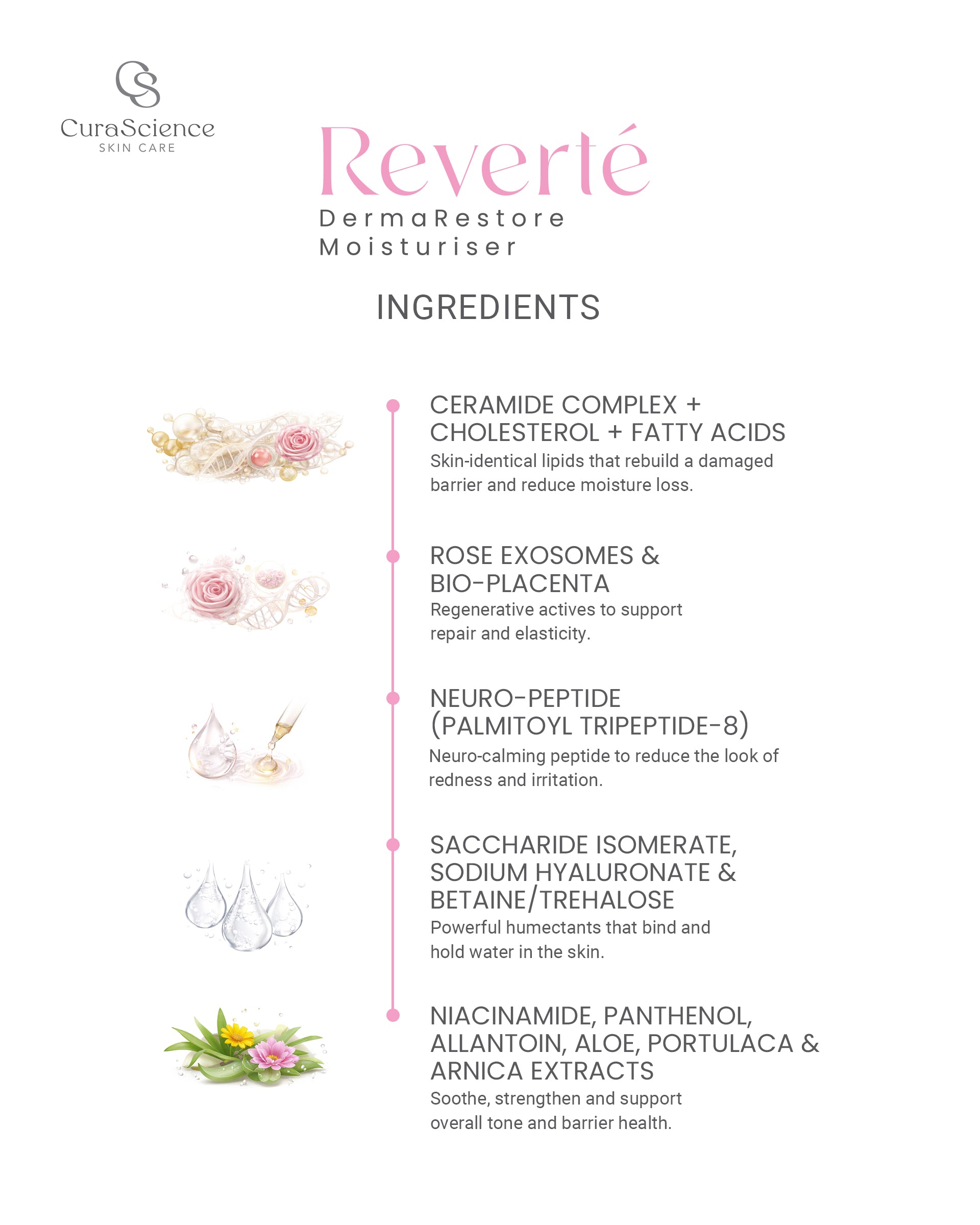 Reverte DermaRestore Moisturizer